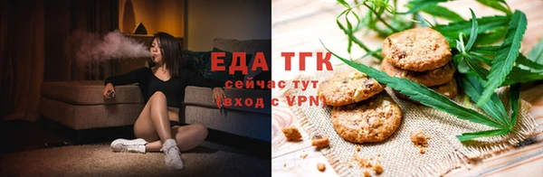 СК Каменногорск