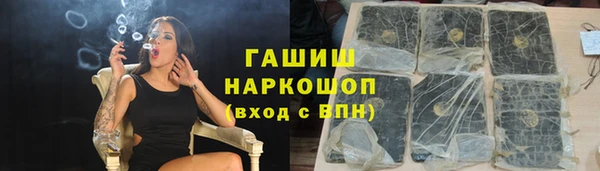 СК Каменногорск