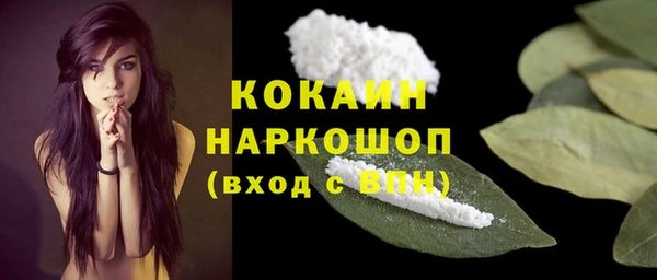 2c-b Каменка