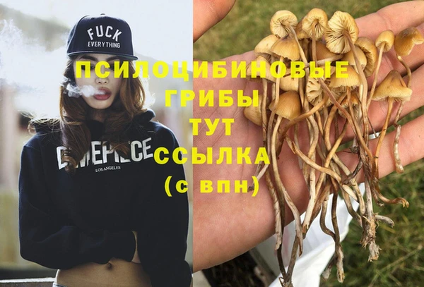 2c-b Каменка