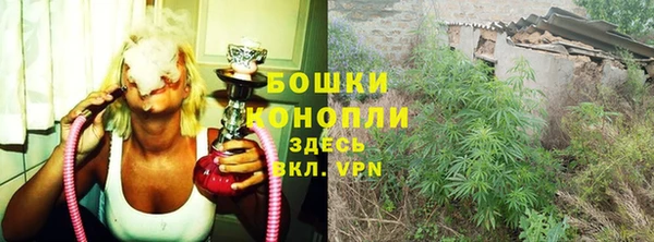 СК Каменногорск