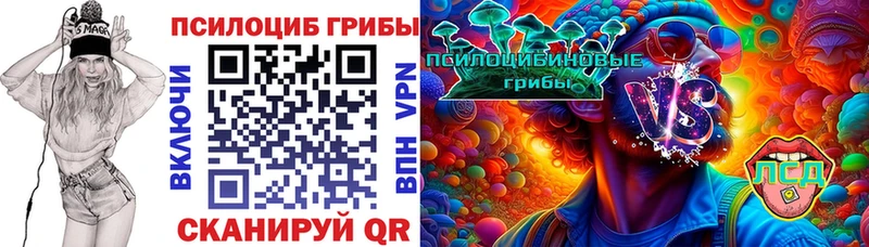 Купить где  Гурьевск  Псилоцибиновые грибы GOLDEN TEACHER 